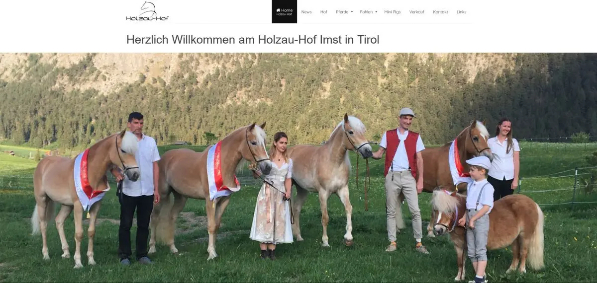 Website Holzau Hof