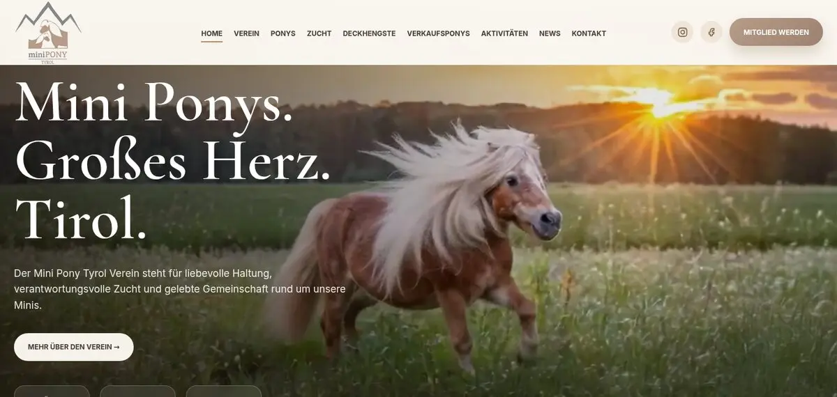Website Minipony Tyrol
